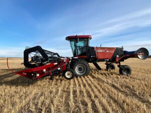 *2010 30' CaseIH WD1203 SP swather