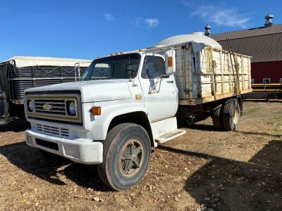 *1981 Chev 70 s/a grain truck